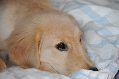 20100913.jpg