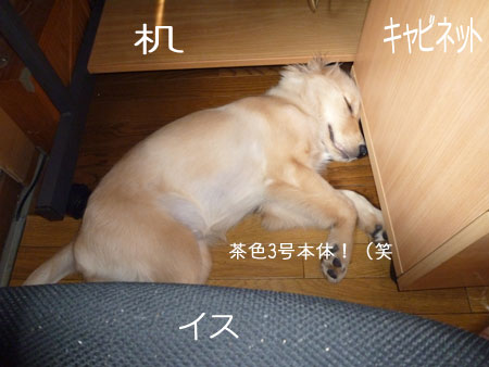 20100914-01.jpg