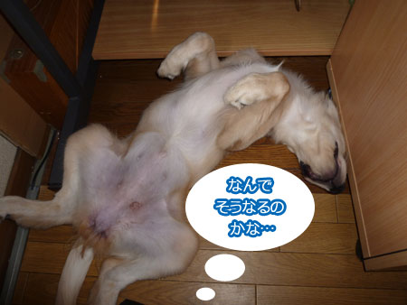 20100914-02.jpg