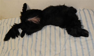 20100916.jpg