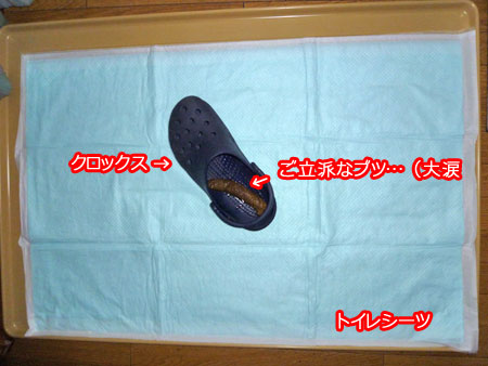 20100918-01.jpg