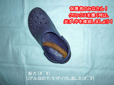 20100918-02.jpg