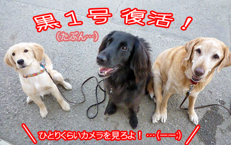 20100919.jpg
