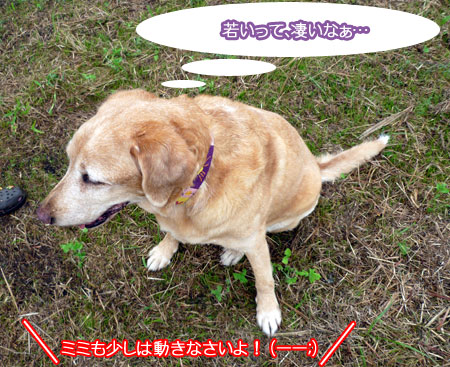 20100920-02.jpg