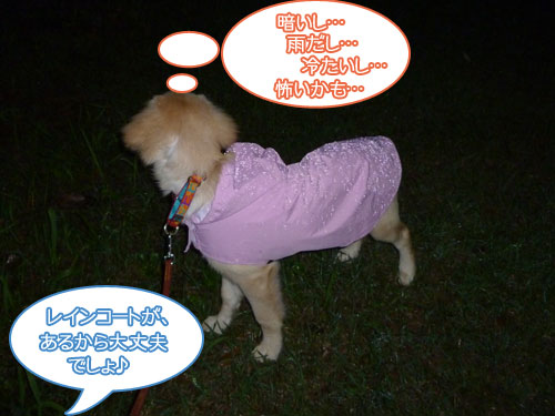 20101001.jpg