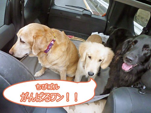 20101002-01.jpg