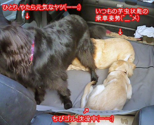 20101002-02.jpg