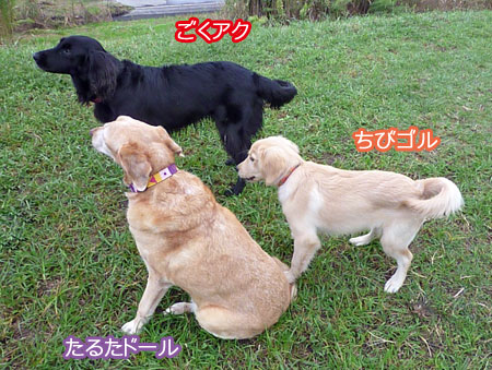 20101003-01.jpg