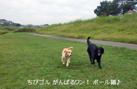 20101003-02.jpg