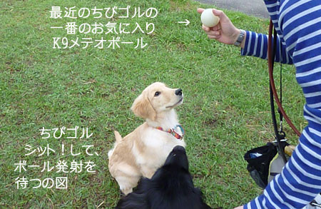 20101003-03.jpg