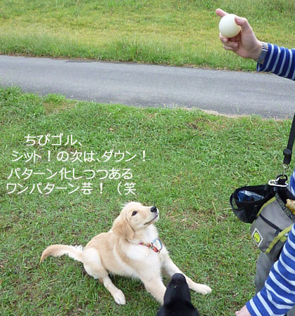20101003-04.jpg