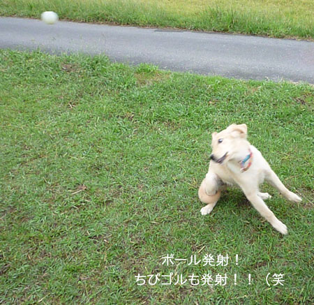 20101003-05.jpg
