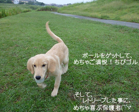 20101003-06.jpg