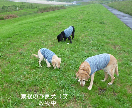 20101004-01.jpg