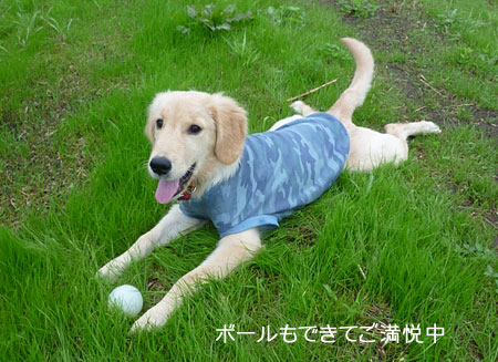 20101004-02.jpg