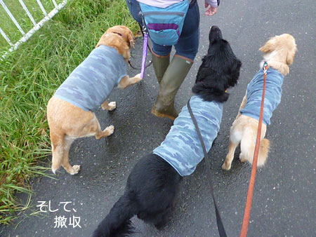 20101004-03.jpg