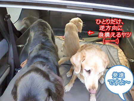 20101006-01.jpg