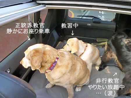 20101006-02.jpg