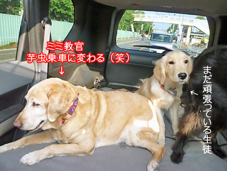 20101006-03.jpg