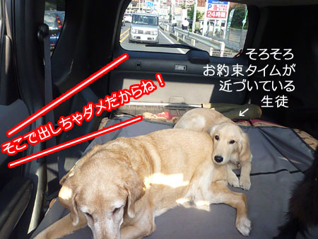 20101006-04.jpg
