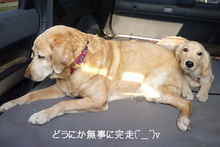 20101006-05.jpg