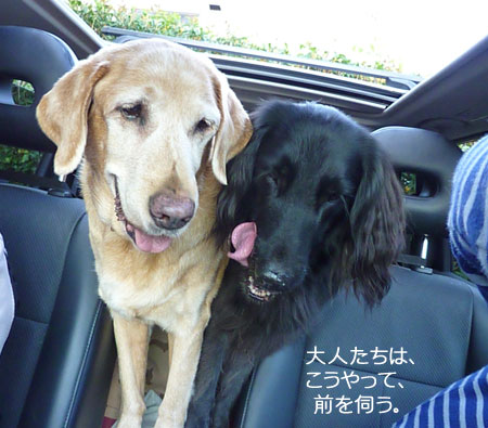 20101007-01.jpg