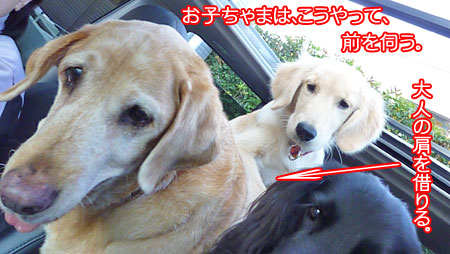 20101007-02.jpg