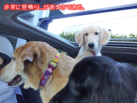 20101007-03.jpg