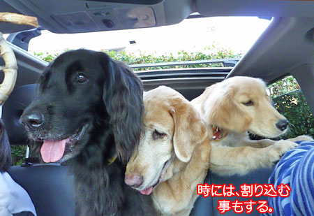 20101007-04.jpg