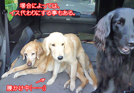 20101007-05.jpg