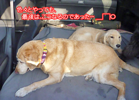 20101007-06.jpg