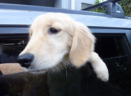 20101009-02.jpg