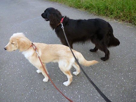 20101011.jpg