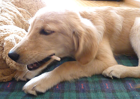 20101012.jpg