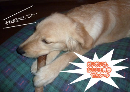20101020.jpg