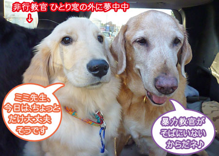 20101102-02.jpg