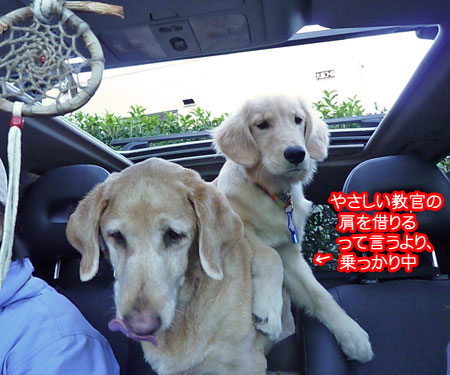 20101102-04.jpg