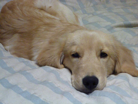 20101104.jpg