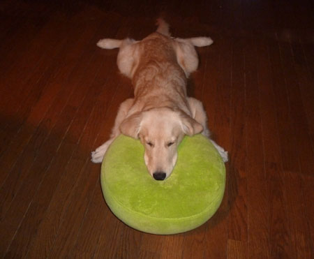 20101105.jpg