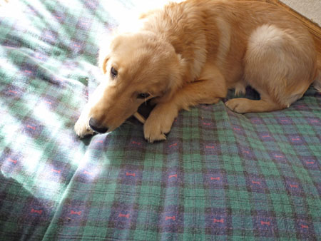 20101106.jpg