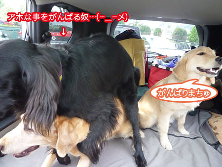 20101108-01.jpg