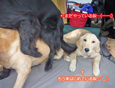 20101108-02.jpg