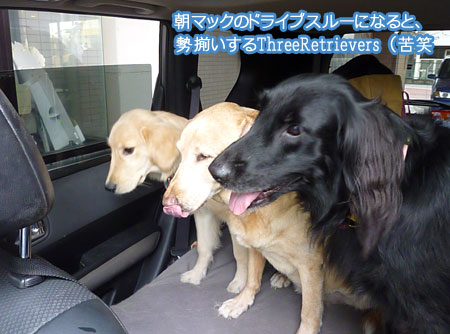20101108-03.jpg