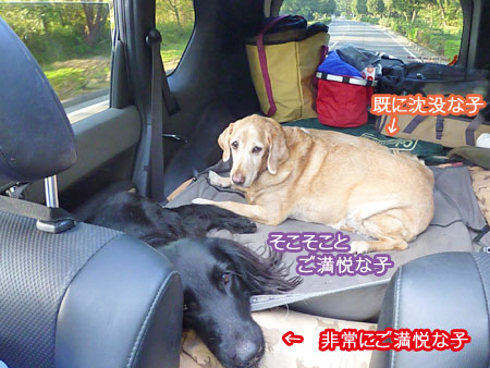 20101108-04.jpg