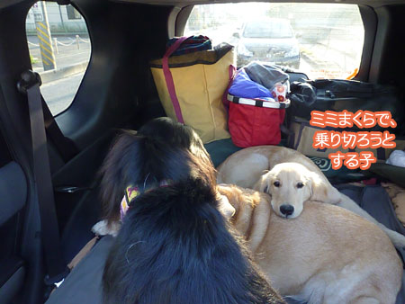 20101108-05.jpg