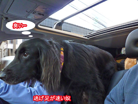 20101108-06.jpg