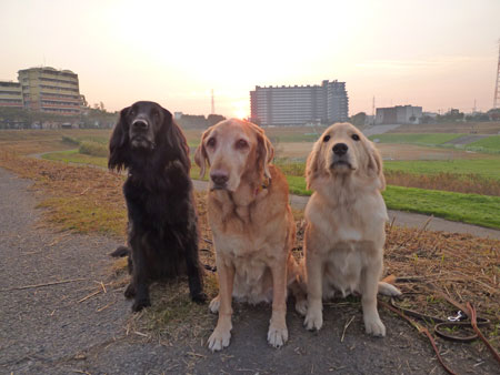 20101110-01.jpg