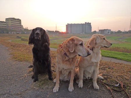 20101110-02.jpg