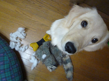 20101117.jpg