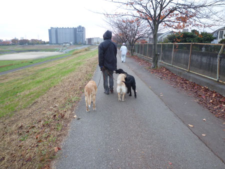 20101202.jpg